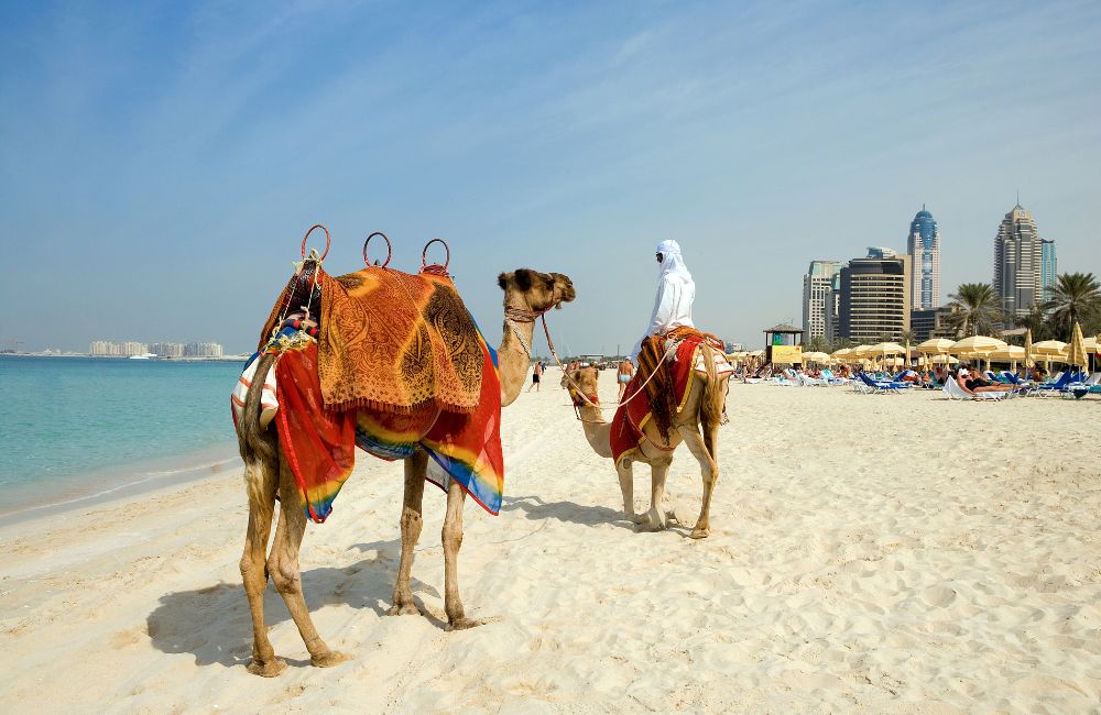 East Destination Travel