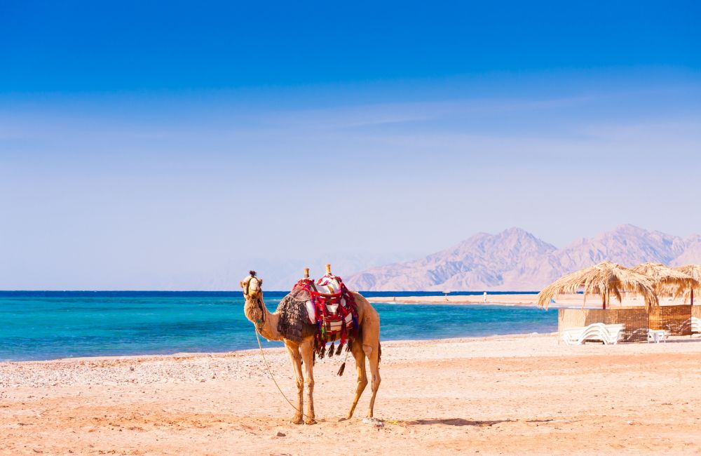 East Destination Travel